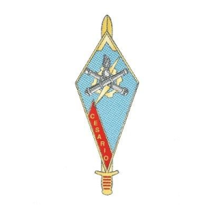 Insigne 15ème Promotion