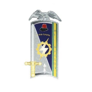 Insigne 31ème Promotion